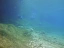 DSC00045~4.JPG