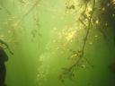 DSC00057.JPG
