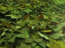 DSC00058.JPG