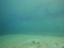 DSC00058~5.JPG