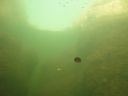 DSC00061.JPG