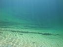 DSC00064~5.JPG