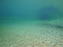 DSC00065~5.JPG