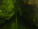 DSC00068.JPG