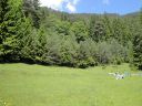 DSC00072~5.JPG