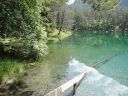 DSC00075~5.JPG