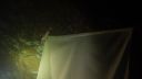 DSC00200.JPG