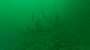 DSC00207.JPG