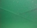 DSC00304.JPG