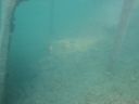 DSC00326.JPG
