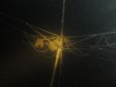DSC00332.JPG