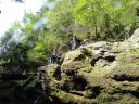 DSC00354.JPG