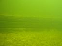 DSC00367.JPG