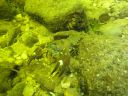 DSC00378.JPG