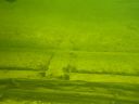 DSC00382.JPG