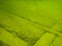 DSC00383.JPG