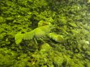 DSC00385.JPG