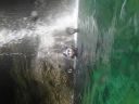 DSC00398.JPG