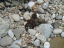 DSC00408.JPG