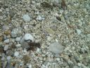 DSC00410.JPG