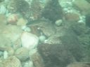 DSC00417.JPG