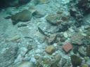 DSC00431.JPG