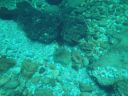 DSC00435.JPG