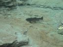 DSC00448.JPG