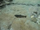 DSC00449.JPG