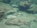 DSC00454.JPG