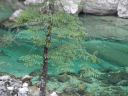 DSC00456.JPG
