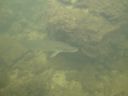 DSC00458.JPG