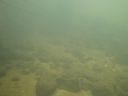 DSC00462.JPG