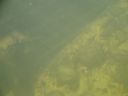 DSC00469.JPG