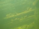 DSC00470.JPG