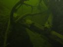 DSC00472.JPG