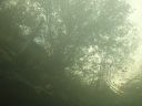 DSC00478.JPG