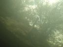 DSC00479.JPG