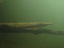 DSC00484.JPG