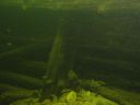 DSC00490.JPG