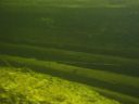 DSC00491.JPG
