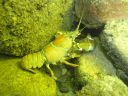 DSC00492.JPG