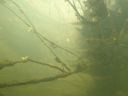 DSC00495.JPG