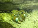 DSC00499.JPG