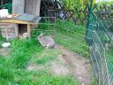 IMG_20130504_190213.jpg