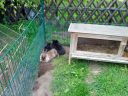 IMG_20130504_190223.jpg