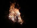 IMG_20130504_222128.jpg