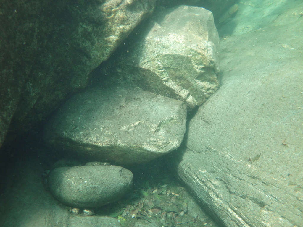 DSC00007.JPG