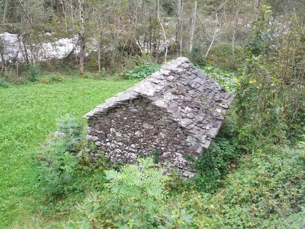 DSC00047_1.jpg