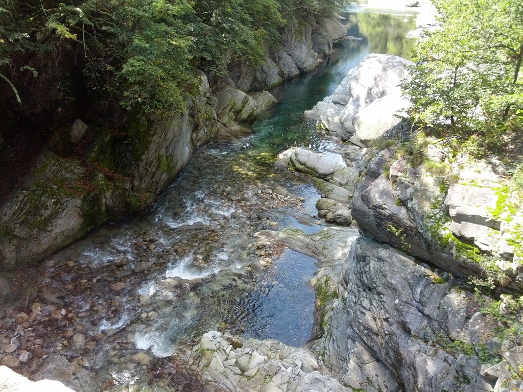 DSC00178_1.jpg
